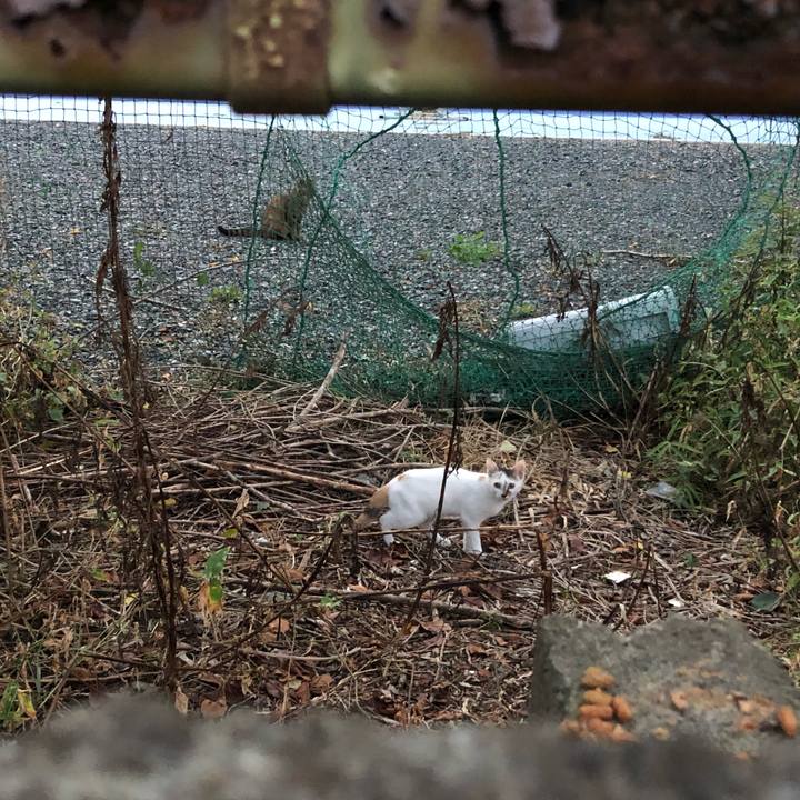 4d74697b d3f5 43fc a9fe c34956da5bf5 1568288569521