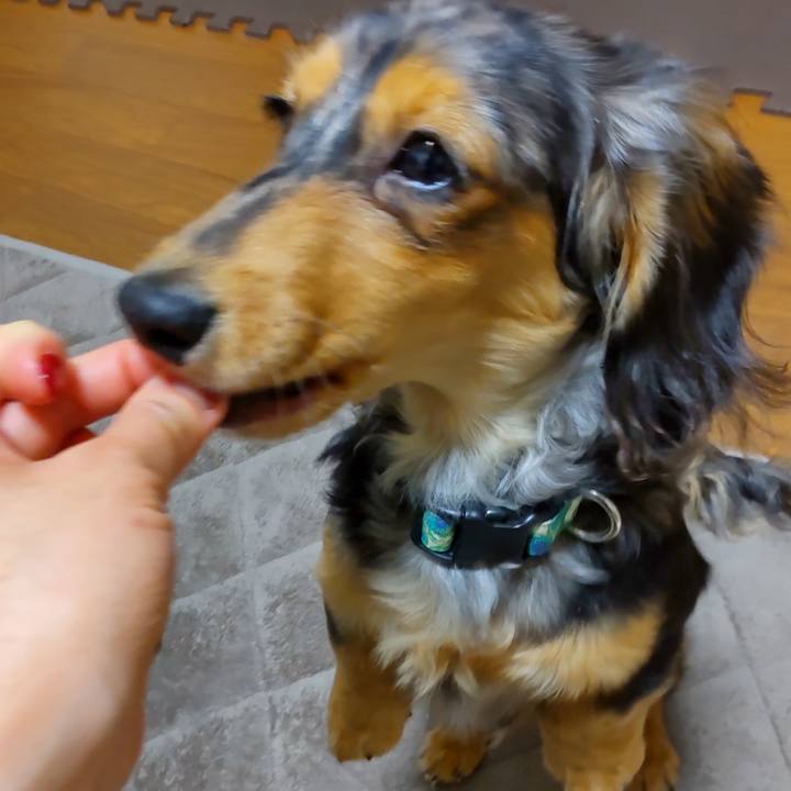 4d747a52 bec8 4e2a 8af6 33d4d17adcb1 1705747214617