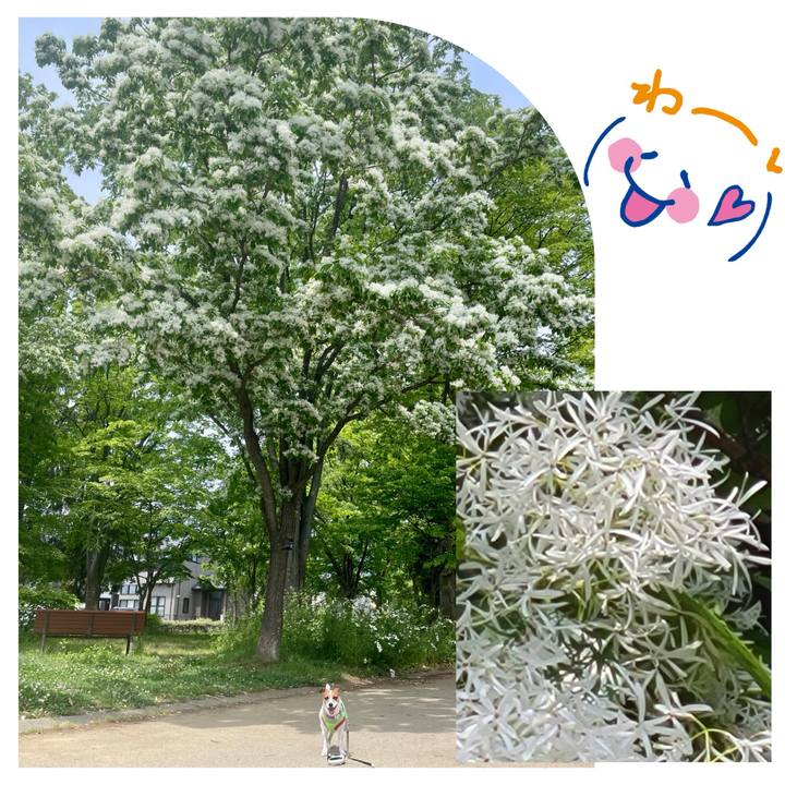 4d74879f cea7 4267 bceb c2e7ed3a96a3 1747202643129