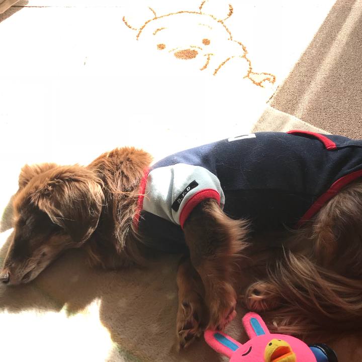 4d74a5f6 9d55 4b20 8d52 85d0c98b79c0 1517286031731