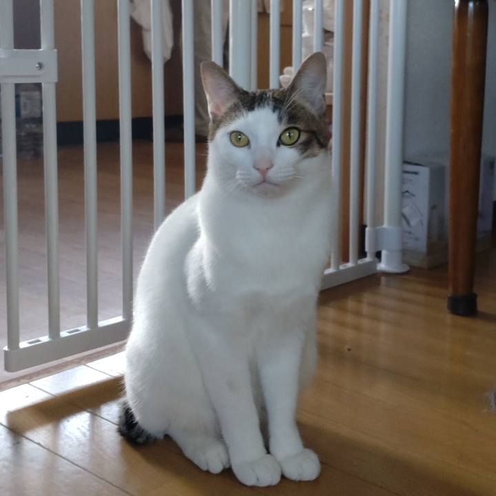 4d74bcf0 2334 4ac0 a25c d71f3c9cb273 1666409976026