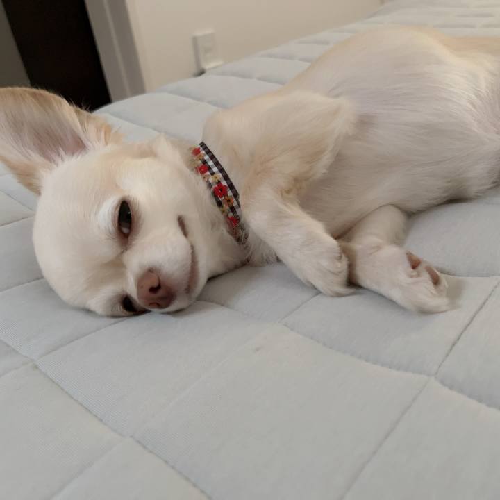 4d74fefc 1037 452e ac0c 8941558c9210 1724115658036