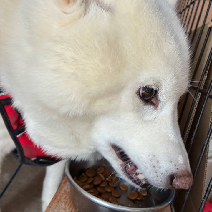 4d75ca01 172e 41b5 b5a6 24faa1da28c8 1769915487948