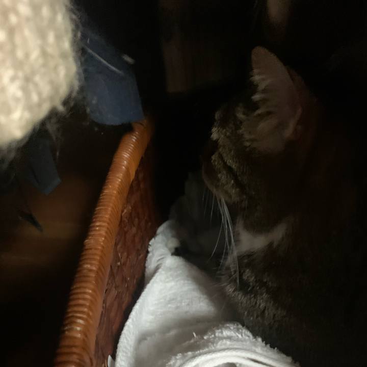 4d75dbfb 32e5 45a8 9002 1fa4007f9b0a 1685662489230