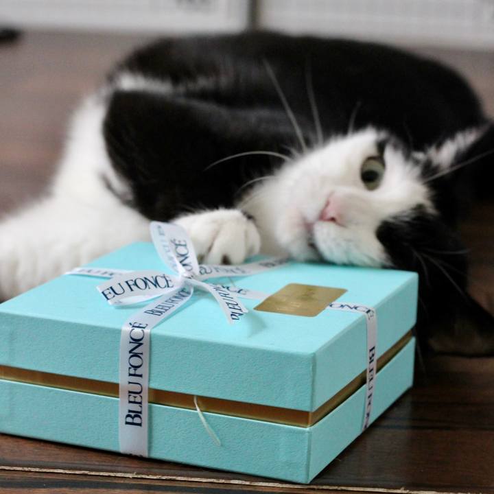 4d75f277 c23c 4248 b2be 99fae08efe39 1690810416851