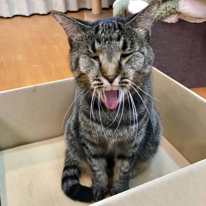 4d76078a 7805 4628 a35f d8b19c98b634 1598414813508