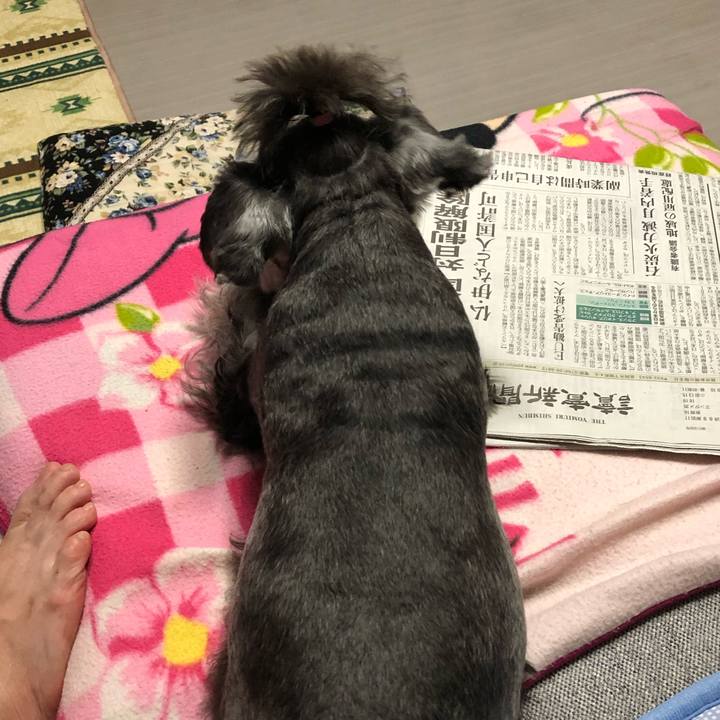 4d761109 5f11 4a82 9c5f fffd1b882dbe 1594044527041