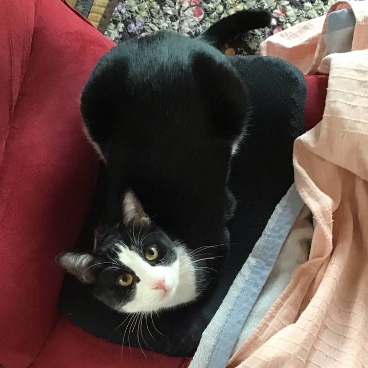 4d761daf f1d0 4467 917e 5bed2f4c6655 1647479442587