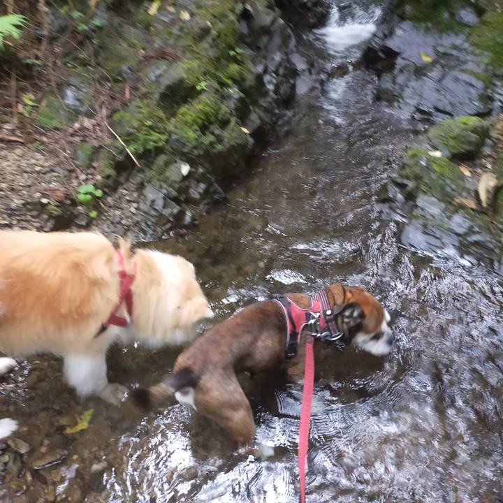 4d765c92 9c19 40ce af20 90cda1138b18 1659188009690