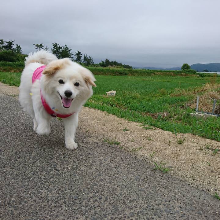 4d76aca2 141e 40dd a574 1d9ad50ff81c 1528579279418