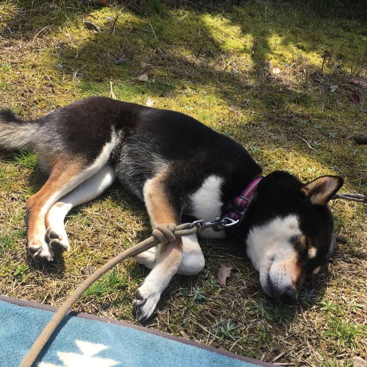 4d76d923 5ccd 40e7 841d cca35344881c 1584835669106