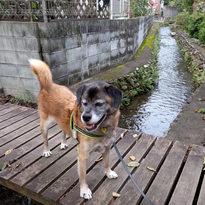 4d76eff4 733c 4db7 8fe9 15aa15999559 1684200136093