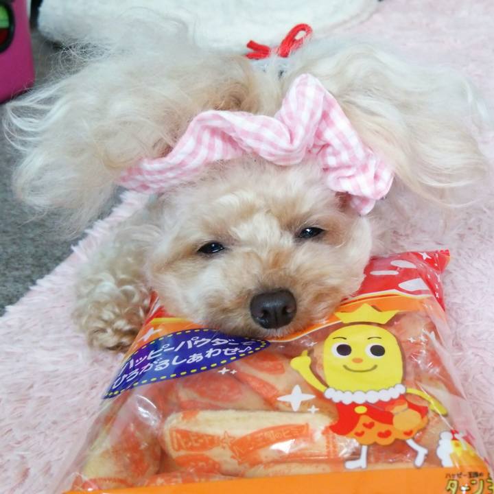 4d772fb5 31d3 428c 8cf2 60ce6e171980 1540458283247