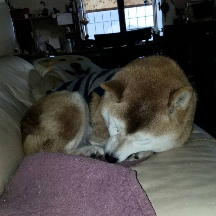 4d775256 c1d5 4577 a604 8bb895ec6295 1675120708775