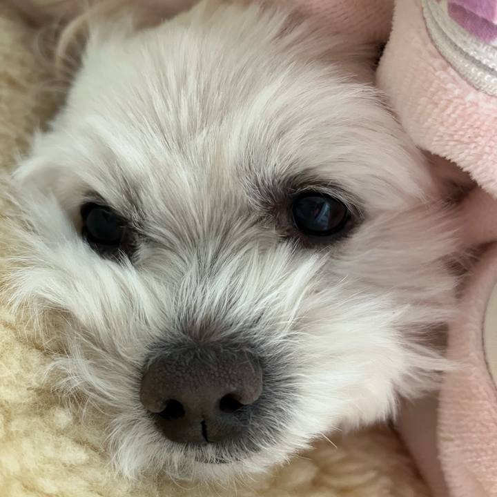 4d777026 921b 4e46 9ccb 173165de7822 1676115746590