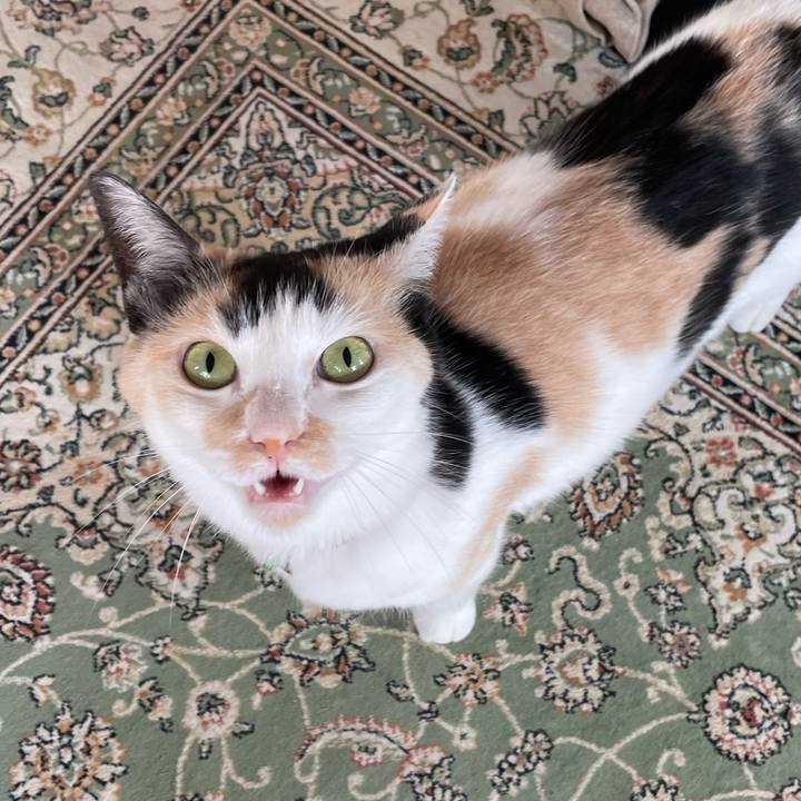 4d777696 0cd5 4010 9a4a 5b5078972c47 1715464237451