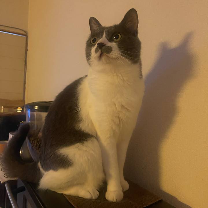 4d77791a f24f 4abb be8b e866f8cec09c 1750463798944