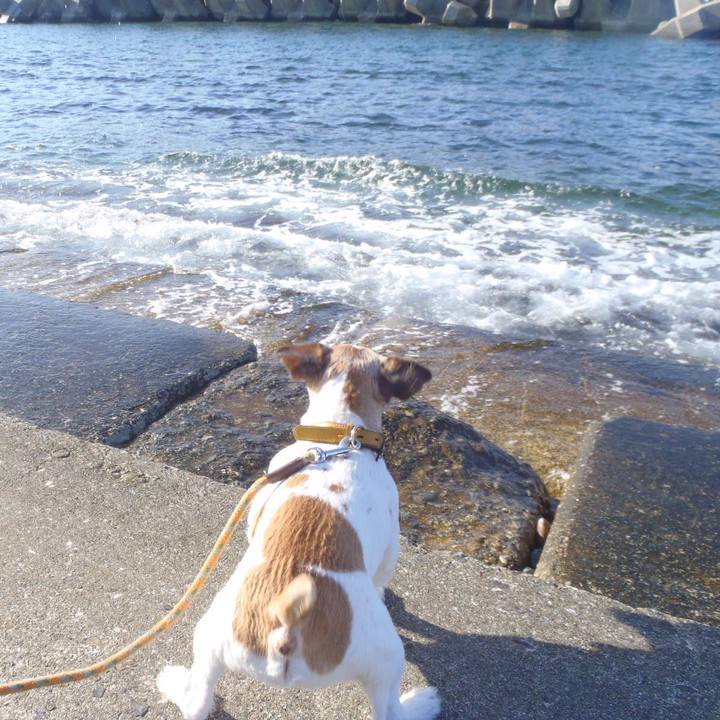 4d779a75 b61d 4cef 815a 85088d29d50c 1511269498435