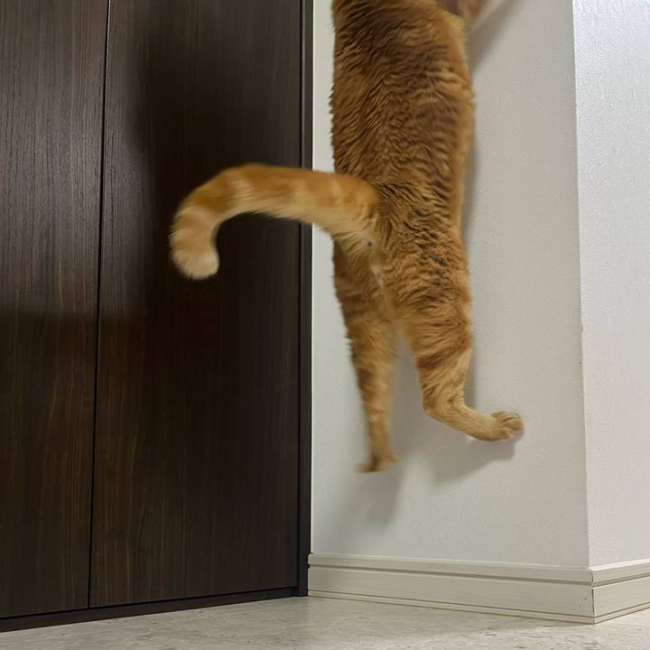 4d77a3e5 1021 4432 b446 e4416e5d22a4 1660566917245