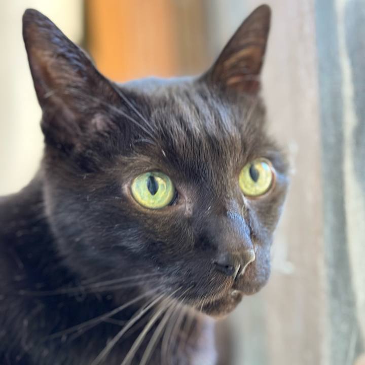 4d77be57 16f3 4780 a9ef f49944ed03ec 1665798066720