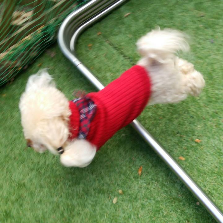 4d78355f 6609 43ac 8070 79b4c638ecf3 1543396853232