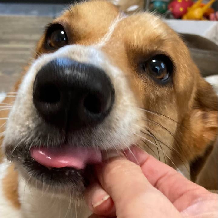 4d78360b 2991 4424 843a a64ed677b14c 1665794291861