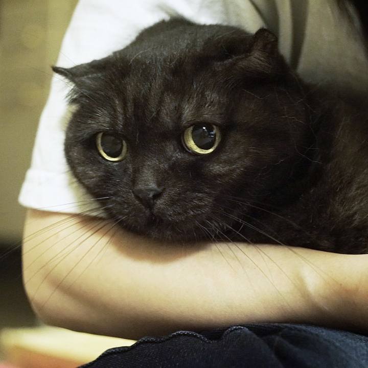 4d7878cf 522f 4a0c 92c4 cc68f3f1f4ea 1572450087255