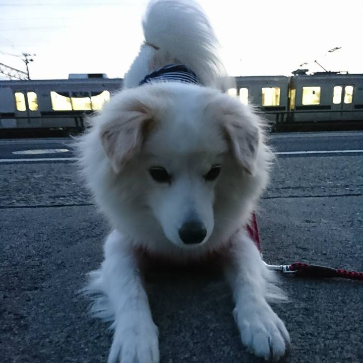 4d7888a1 0fc3 4b75 92cc 63159595009c 1512681860200