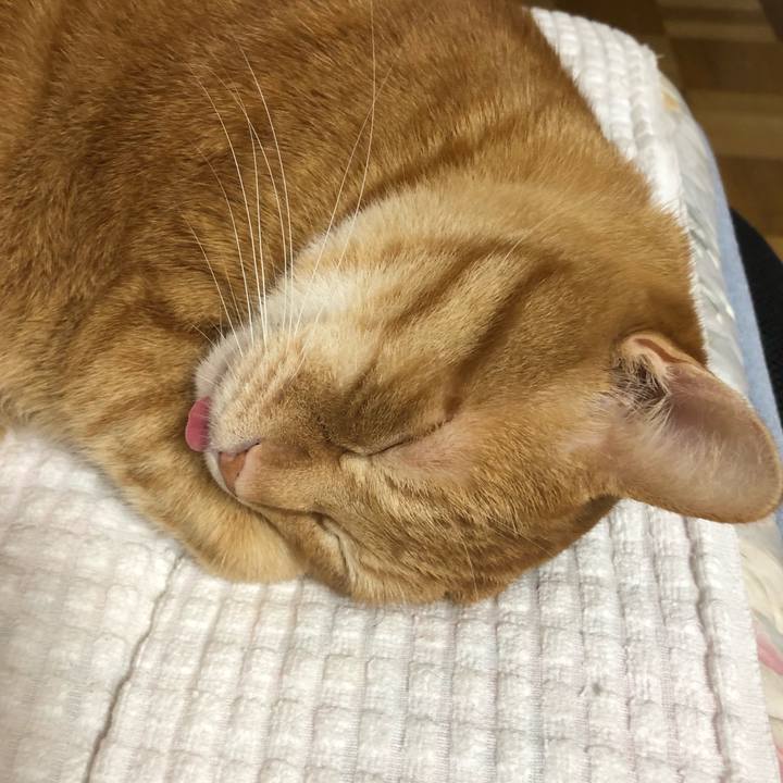 4d789479 099a 46de b609 286b40307ffd 1591441241382