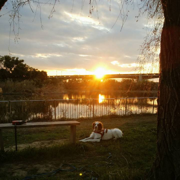 4d78c159 a342 4f01 a4e8 cebf911c2102 1542712127738