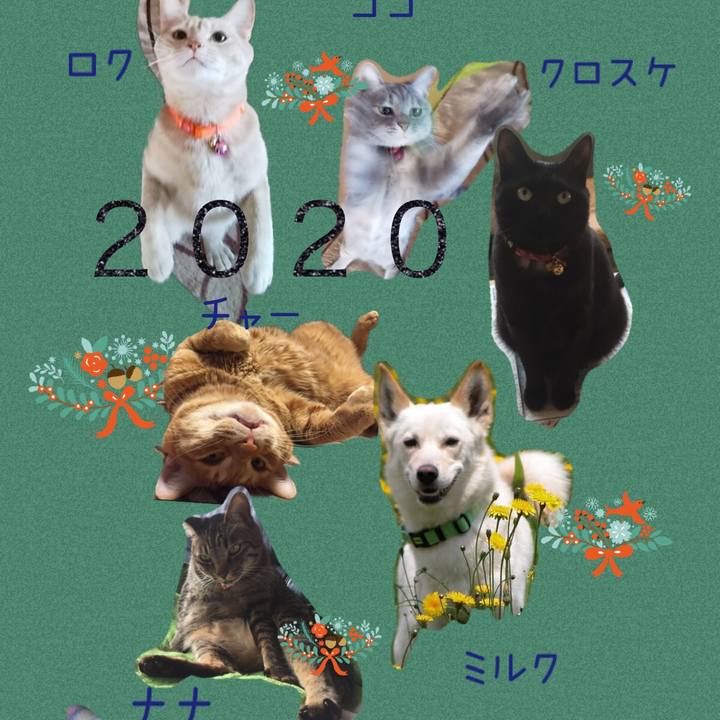 4d78f641 6296 4af9 a96f abb8f0f35ca6 1577877349174