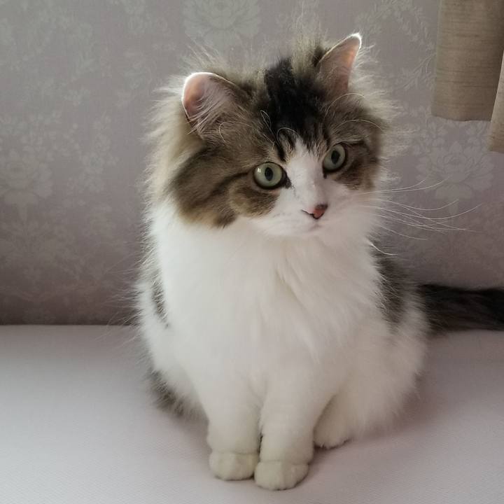 4d792058 20b1 4cdd b7fb be9667e98d36 1556482308301