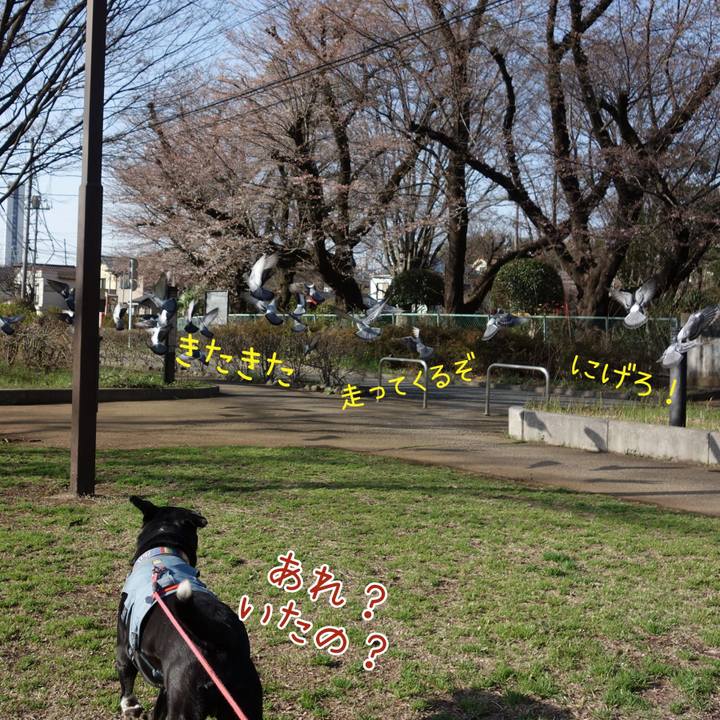 4d792dc8 3e32 4247 9216 6fa6ec53cac7 1712026138324