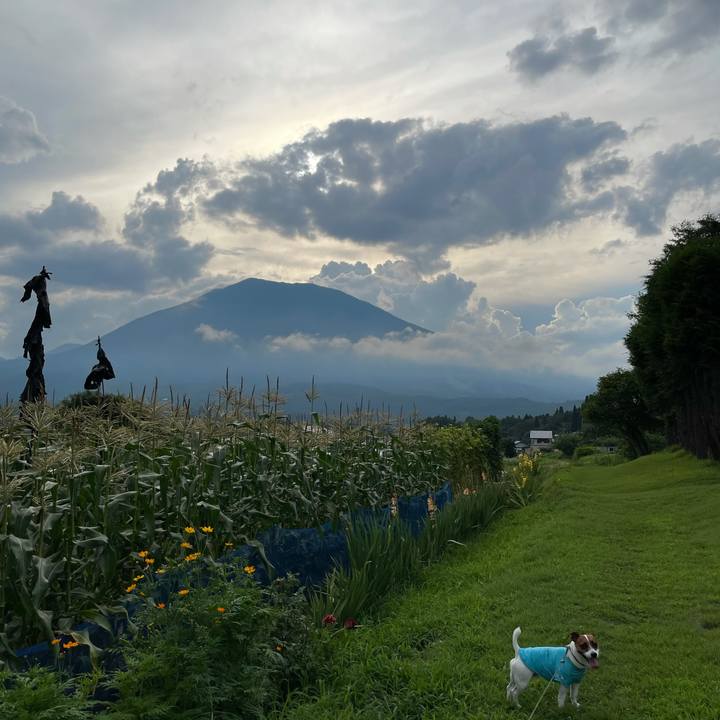 4d79424f f732 429f 8cf9 9521366e9560 1628332060857