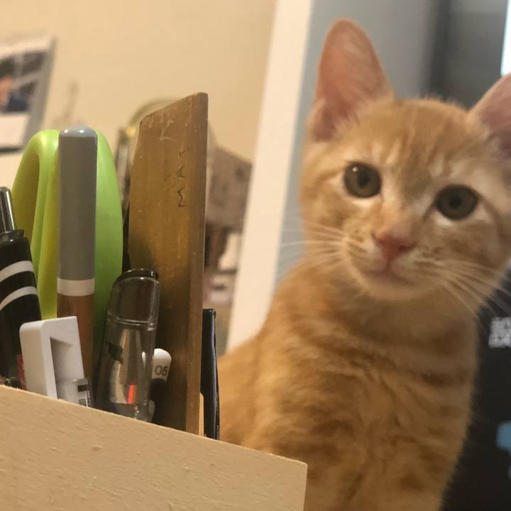 4d794278 02c4 48a4 a807 dd8690de50c3 1566215568225