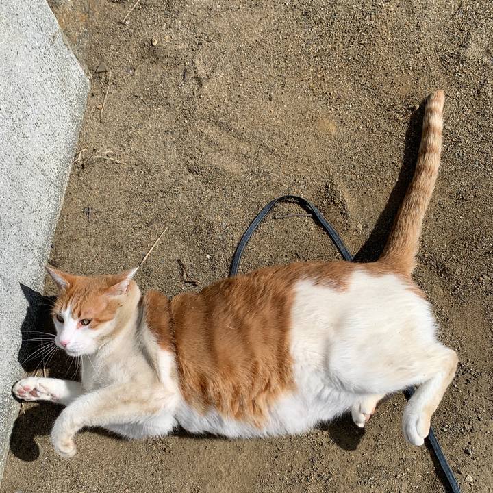 4d7947c1 b232 4866 b7d5 6e4b8ea3bc91 1614557779724