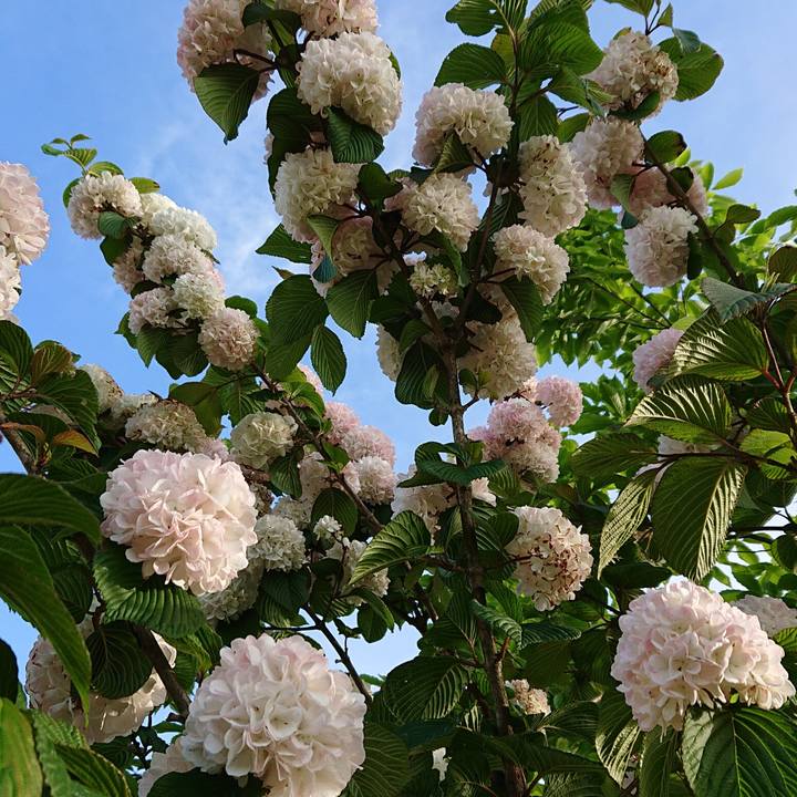 4d795a39 18c7 47e3 b3eb e08f2cc1383f 1556501951679