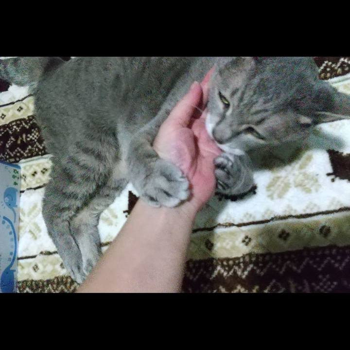 4d799b45 6d95 4fe2 979a f2228b0f858d 1668076395180