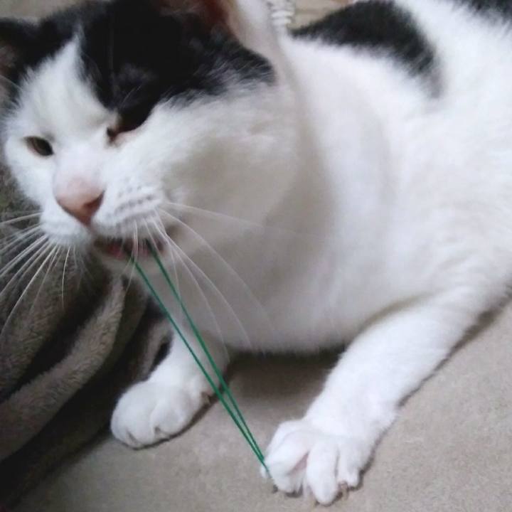 4d79a230 d2b8 4283 b1dc 5294fd378210 1552717927344