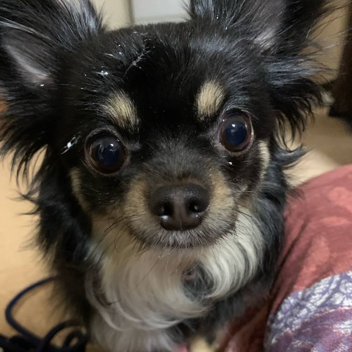 4d79d7a2 1e48 4f14 ad22 9e7f45017329 1609634968028