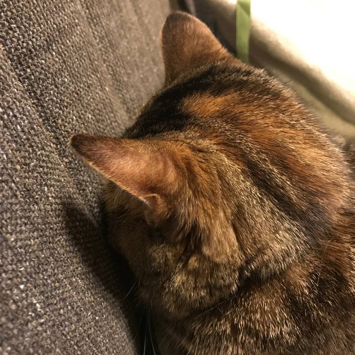 4d79eb61 84ce 482b 9c00 ccaad8819727 1511347226942