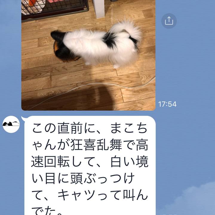 4d79fab1 a87f 4523 99ac 8c06875a1b08 1568718830143