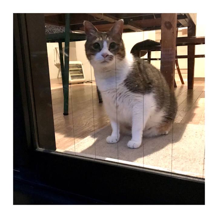 4d7a0051 9e98 4ca3 9ea9 8452f40b4499 1652613601786