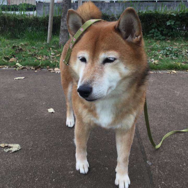 4d7a01f2 c54c 45c8 b160 7ae73015e475 1602726366799