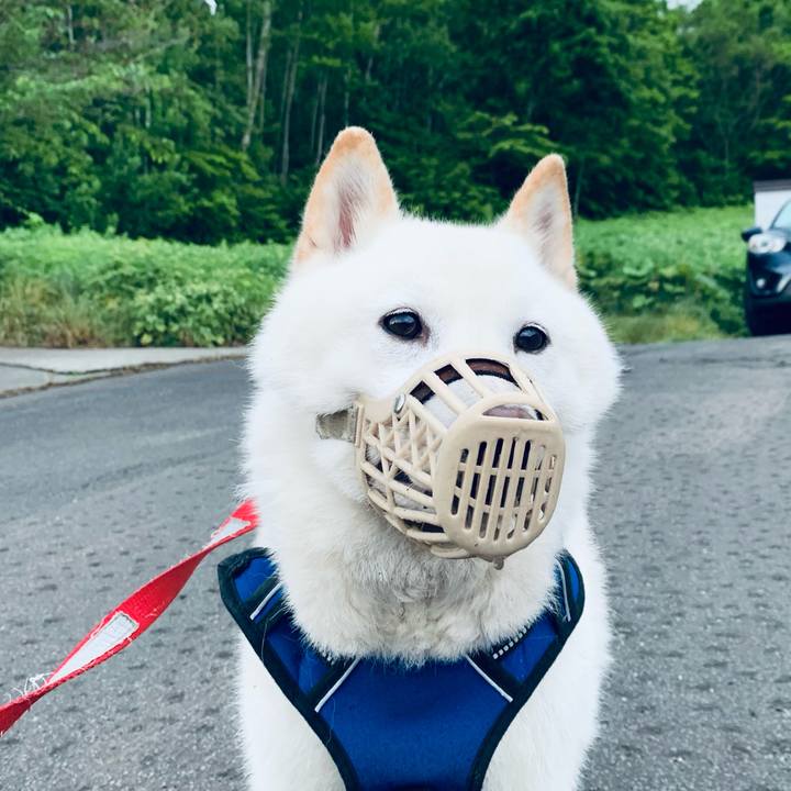 4d7a070e 3831 409e aeeb a25c4ce7c1ec 1622233600785