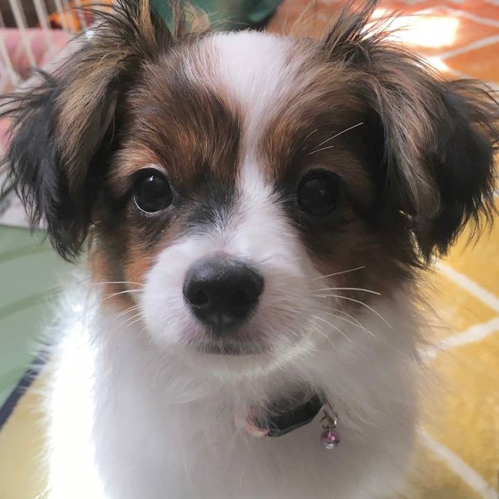 4d7a1856 6f6a 4ad3 af49 08f0b6375116 1633604264650