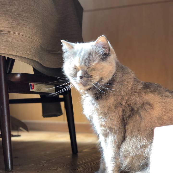 4d7a3a9f d312 4a02 ada9 3012673ed2b5 1667400947154