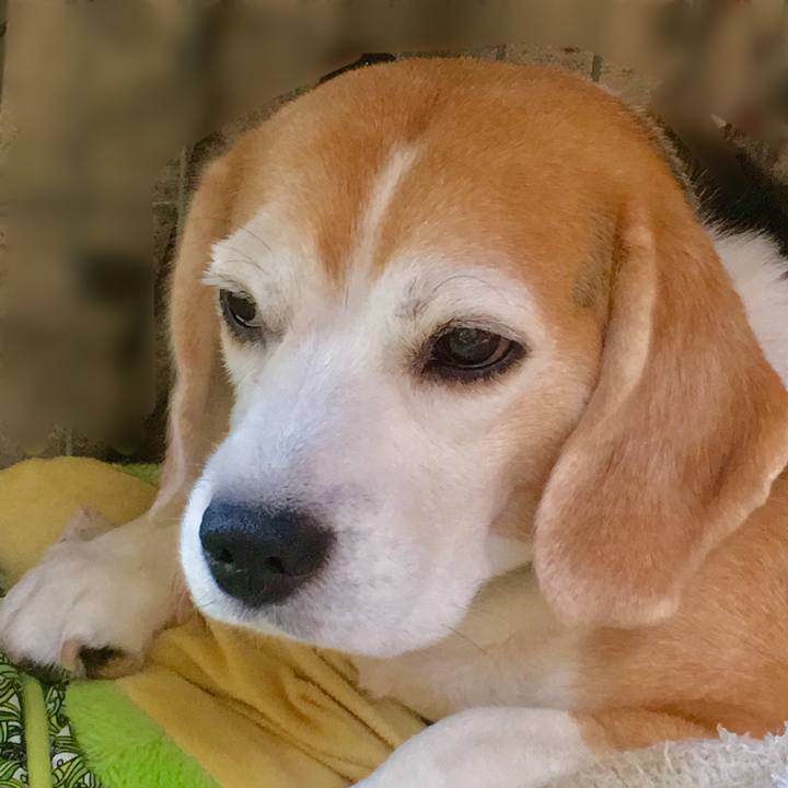 4d7a5556 679b 4e21 b13d d977b452b5e4 1538453984146