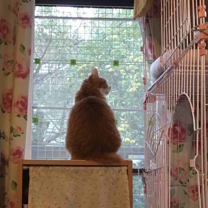 4d7a9852 6c93 410a 9c6a 98ace061d3de 1573113191077