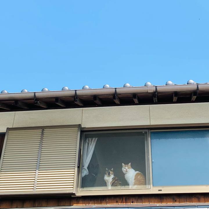 4d7aa9ed ac9f 45e7 a83a effbcac3e04a 1743768512118